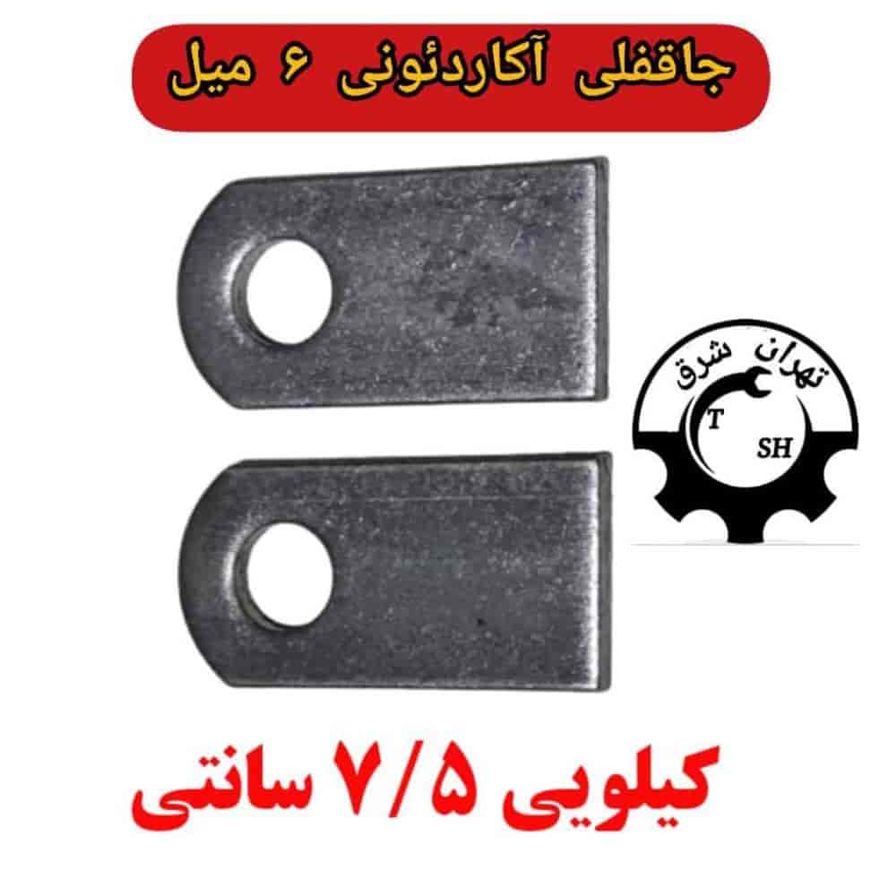 القاتل الأكورديون